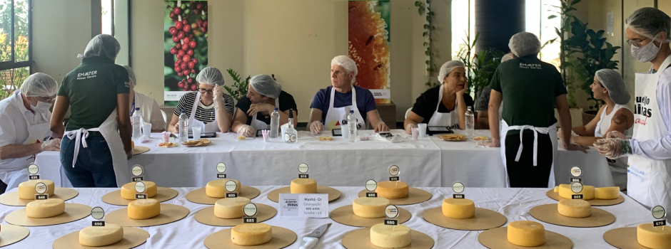 Começam as inscrições para a escolha dos melhores Queijos Artesanais de Minas Gerais em 2025