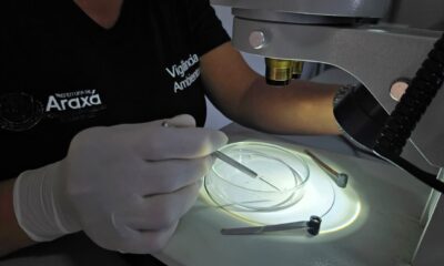 LIRAa aponta infestação de 0,3% em Araxá; Vigilância reforça cuidados antes das chuvas
