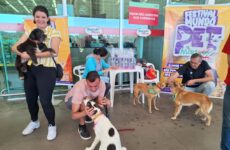Mart Minas promove mais uma edição do Festival Mundo Pet e realiza o 3º Evento de Adoção de 2025