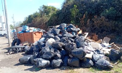 Concessionária Way-262 recolhe 26 toneladas de lixo na BR-262 entre Betim e Uberaba