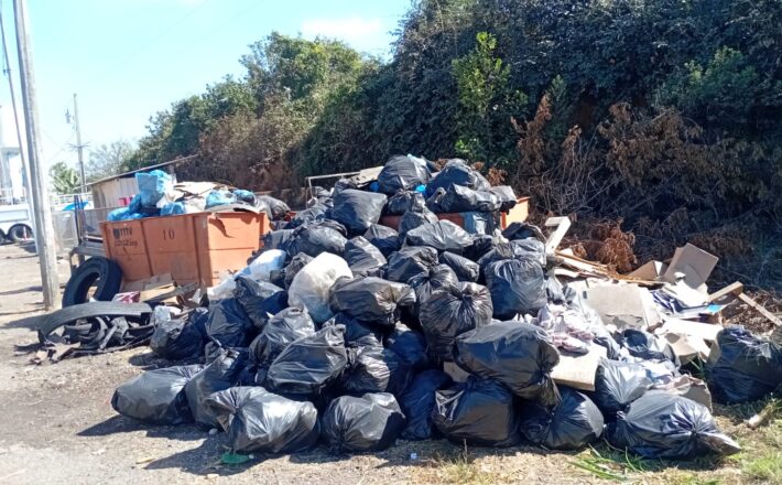 Concessionária Way-262 recolhe 26 toneladas de lixo na BR-262 entre Betim e Uberaba