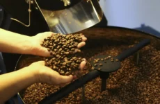 Preço do café cai pela primeira vez depois de 18 meses, diz IBGE