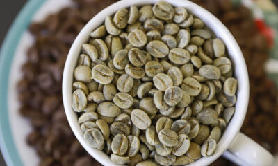 Impulsionadas pelo café, exportações do agro em Minas lideram ranking nacional