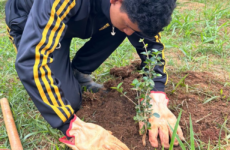 Projeto Florir deixa sua marca em espaços públicos e amplia protagonismo juvenil em Araxá