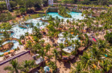 Sombra garantida! Os 800 coqueiros do Hot Beach Olímpia são convite à vida boa nos feriados