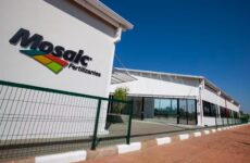 Inscrições para programa de estágio técnico da Mosaic seguem até 3 de novembro