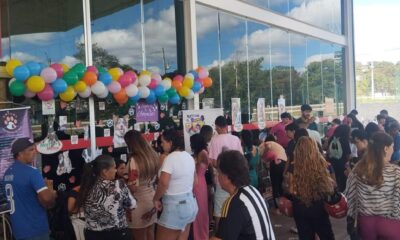 Mart Minas abre chamada para ONGs de proteção animal participarem de evento de adoção de pets