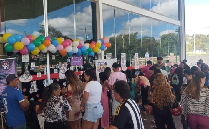 Mart Minas abre chamada para ONGs de proteção animal participarem de evento de adoção de pets Mart Minas abre chamada para ONGs de proteção animal participarem de evento de adoção de pets