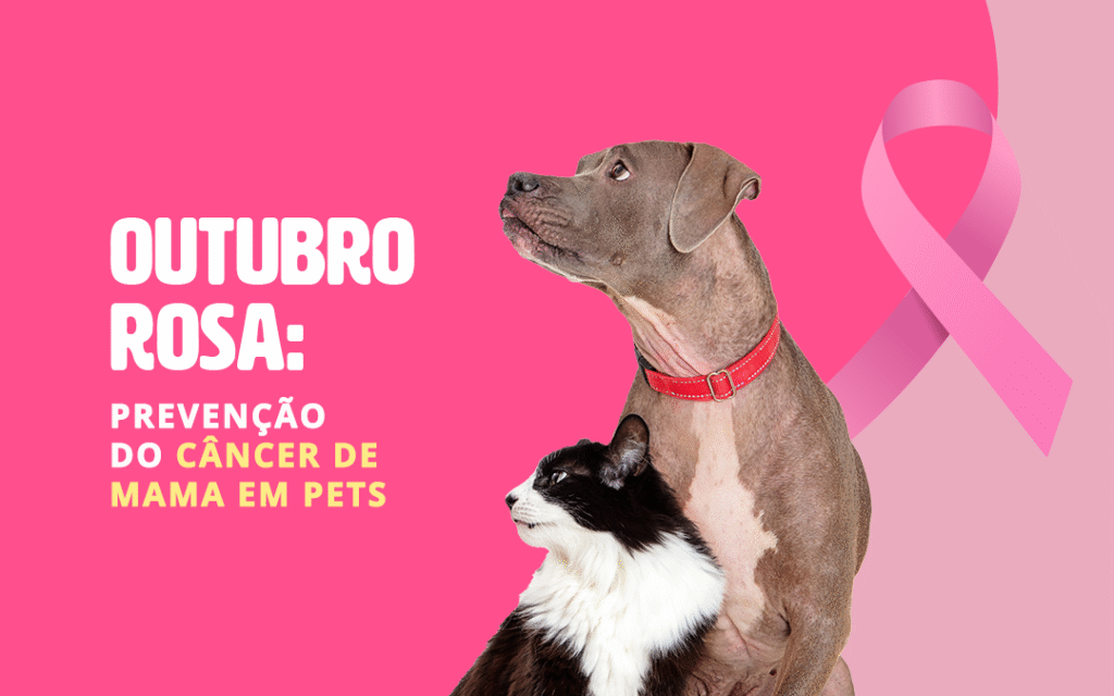 Outubro Rosa Pet: mês de conscientização sobre câncer de mama