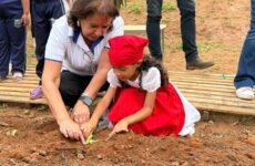 Projeto Produzindo e Aprendendo leva hortas educativas a 10 escolas de Araxá