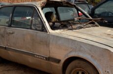 Estado retoma leilões de sucatas e reforça compromisso com sustentabilidade ambiental em Minas