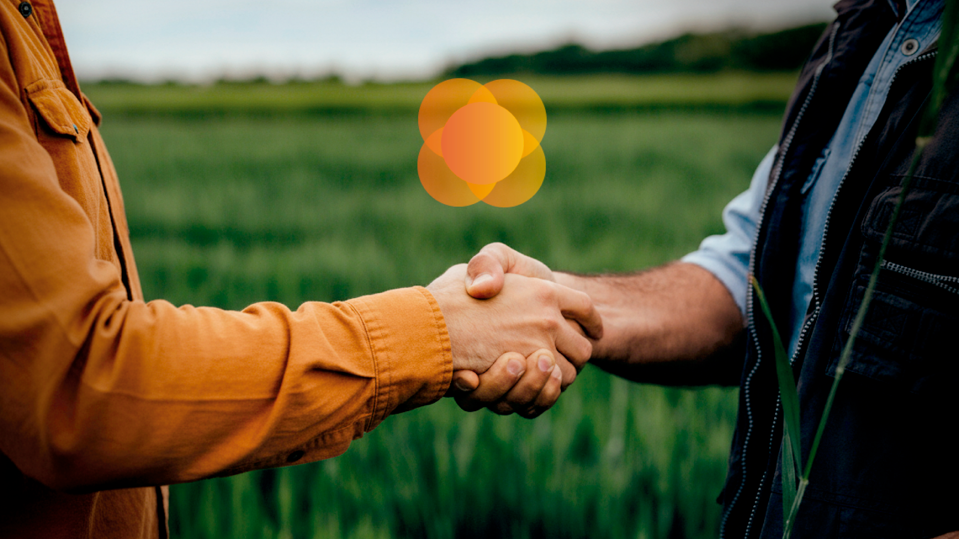 Cooperar para prosperar: Cresol inicia remuneração de juros aos cooperados