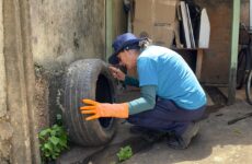 Vigilância Ambiental de Araxá encerra 2025 com serviços ampliados, castrações contínuas e novas estratégias no combate à dengue