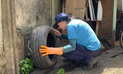 Vigilância Ambiental de Araxá encerra 2025 com serviços ampliados, castrações contínuas e novas estratégias no combate à dengue