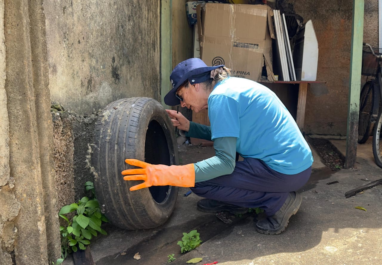 Vigilância Ambiental de Araxá encerra 2025 com serviços ampliados, castrações contínuas e novas estratégias no combate à dengue