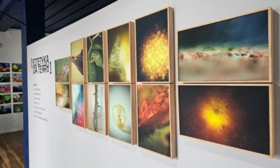Exposição “Eztetyka da Terra” é prorrogada até 9 de janeiro no Museu Dona Beja, em Araxá