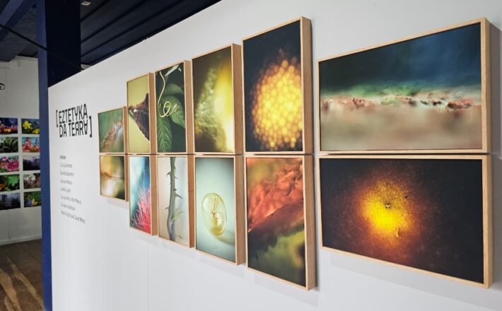 Exposição “Eztetyka da Terra” é prorrogada até 9 de janeiro no Museu Dona Beja, em Araxá