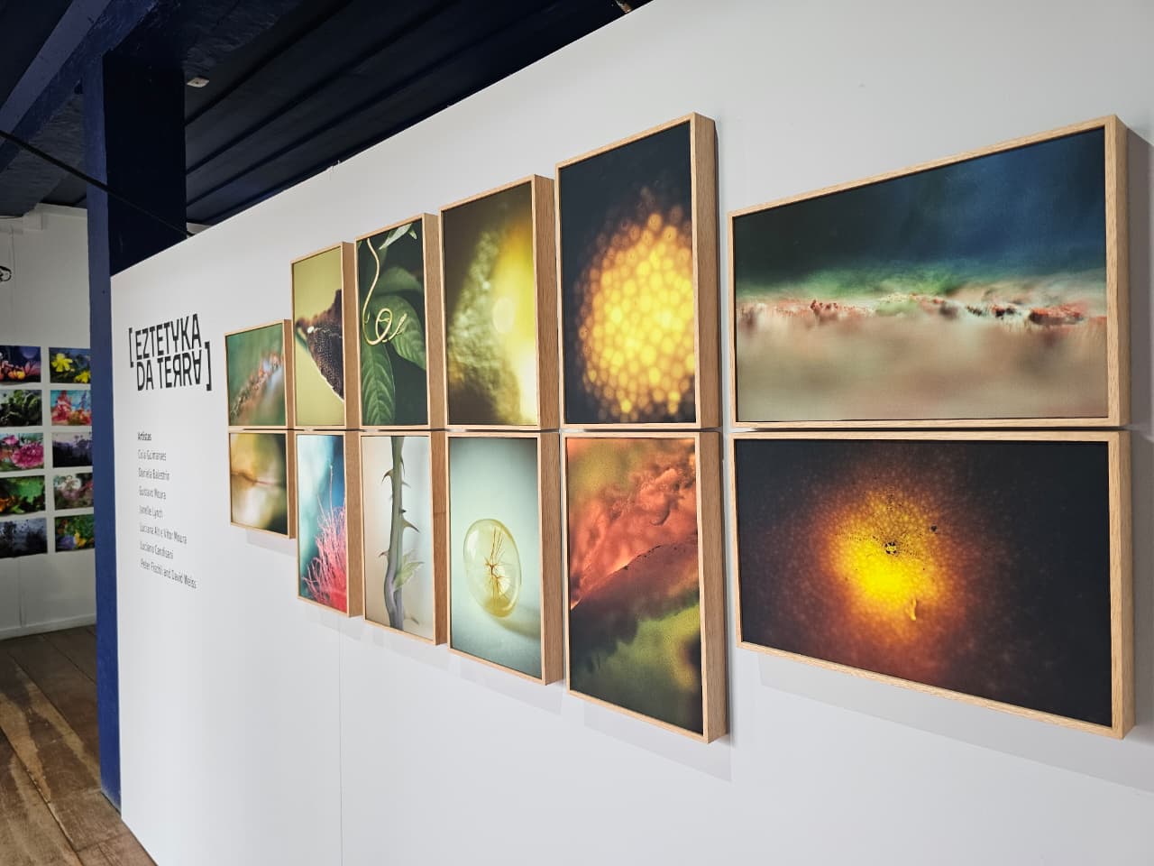 Exposição “Eztetyka da Terra” é prorrogada até 9 de janeiro no Museu Dona Beja, em Araxá