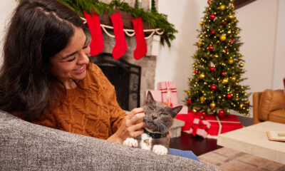 Pet não é presente: a importância da guarda responsável de gatos e cães