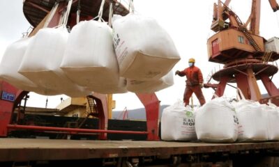 Brasil registra recorde na importação de fertilizantes e amplia exportações agrícolas em 2025