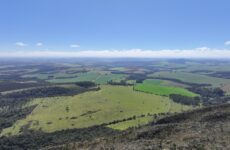 Novo investimento fortalece projeto de terras raras em Araxá no cenário mundial