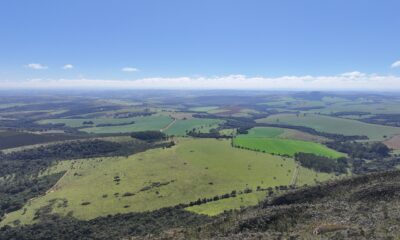 Novo investimento fortalece projeto de terras raras em Araxá no cenário mundial