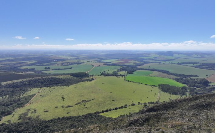 Novo investimento fortalece projeto de terras raras em Araxá no cenário mundial