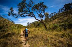 Araxá sedia a Forrest Run Tormenta 2026, maior corrida de montanha de Minas, no próximo sábado (28)