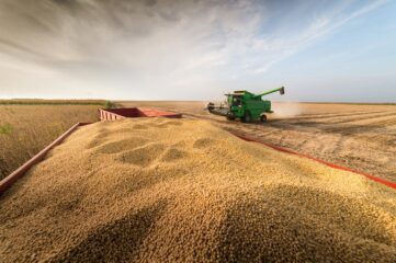Produção de grãos é estimada em 353,4 milhões de toneladas em 2025/26