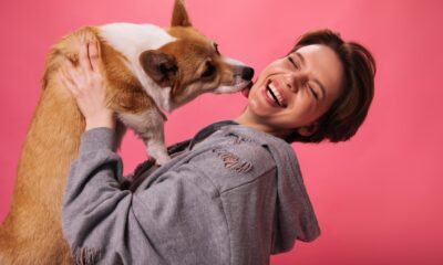 Cuidados com o pet no outono: prevenção é garantia de bem-estar