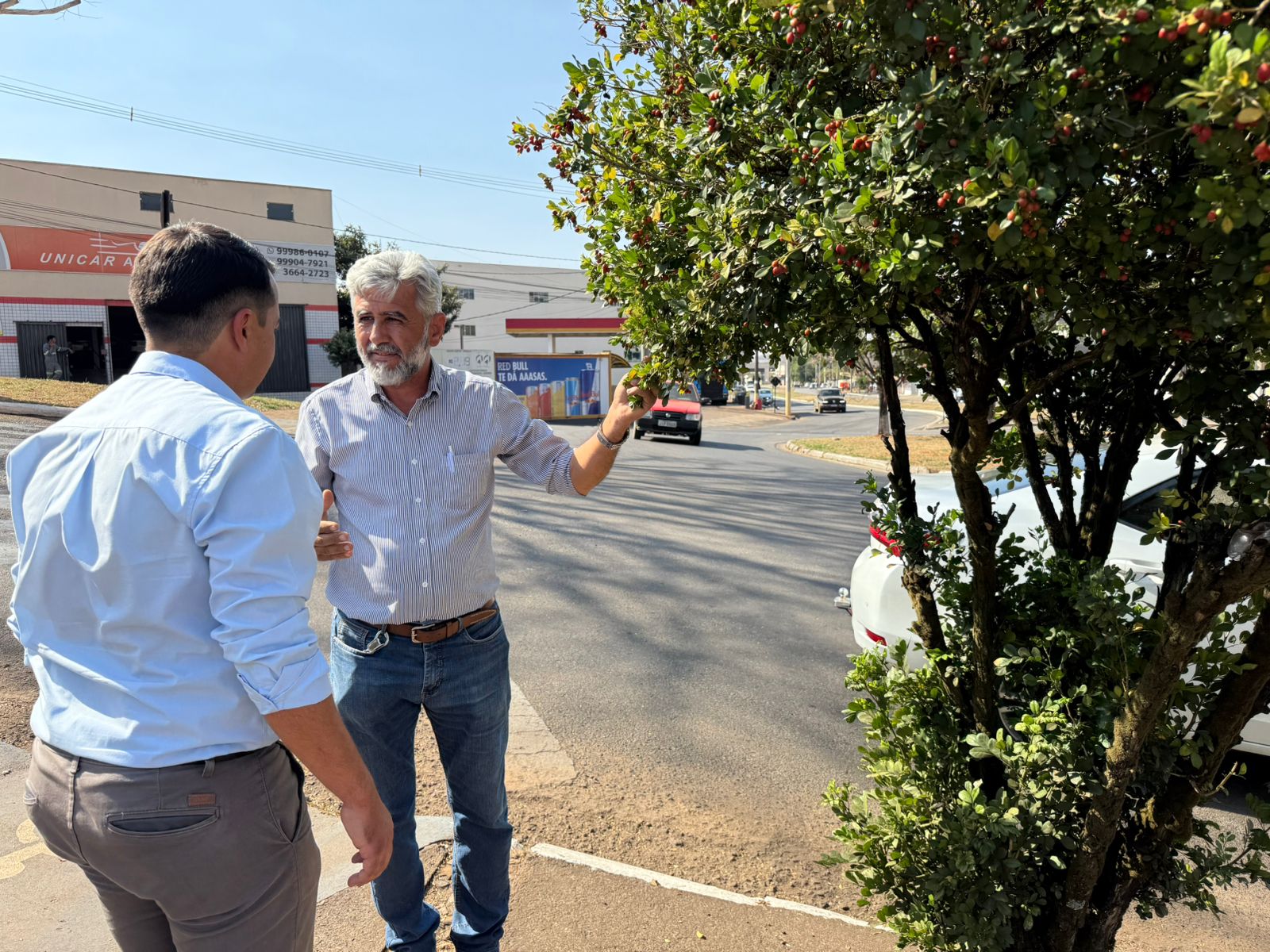 Lei pioneira de Araxá para combate à murta passa a ser adotada por outros municípios mineiros