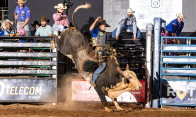 Vinícius Arcanjo é o grande campeão do rodeio do Araxá Rodeio Show