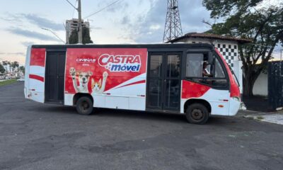 Prefeitura de Araxá realiza mutirão com 400 castrações gratuitas de cães e gatos