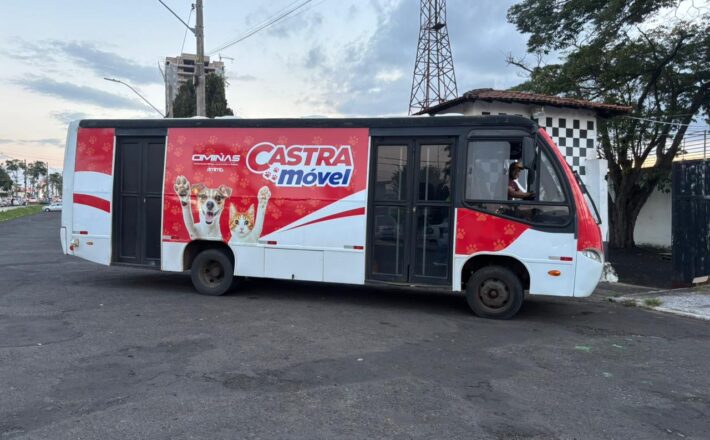 Prefeitura de Araxá realiza mutirão com 400 castrações gratuitas de cães e gatos