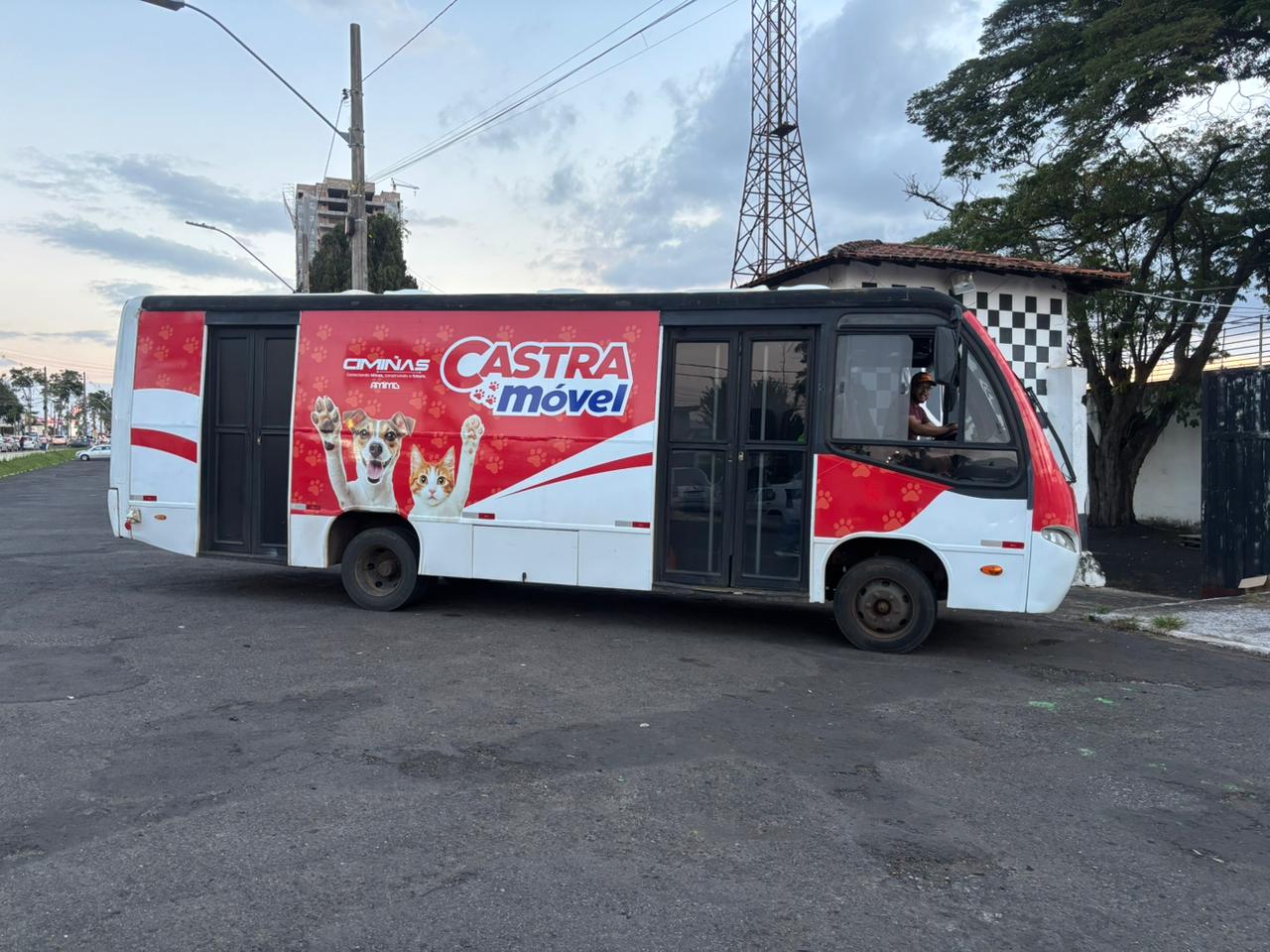 Prefeitura de Araxá realiza mutirão com 400 castrações gratuitas de cães e gatos