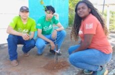 Projeto “Uma Árvore na Minha Calçada” incentiva moradores a deixarem Araxá mais verde e sustentável