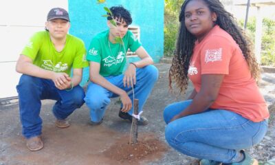 Projeto “Uma Árvore na Minha Calçada” incentiva moradores a deixarem Araxá mais verde e sustentável