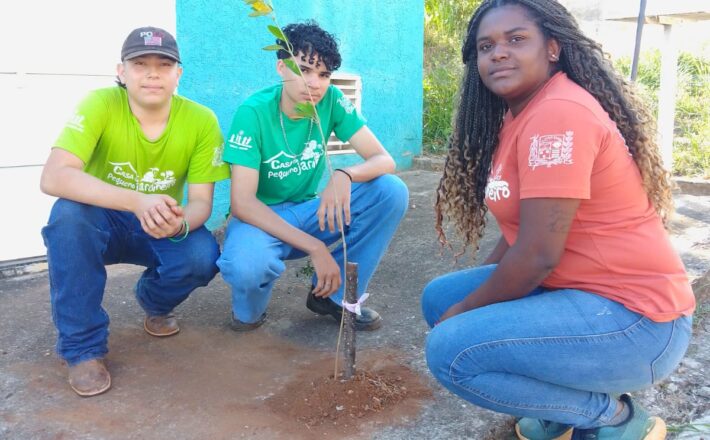 Projeto “Uma Árvore na Minha Calçada” incentiva moradores a deixarem Araxá mais verde e sustentável