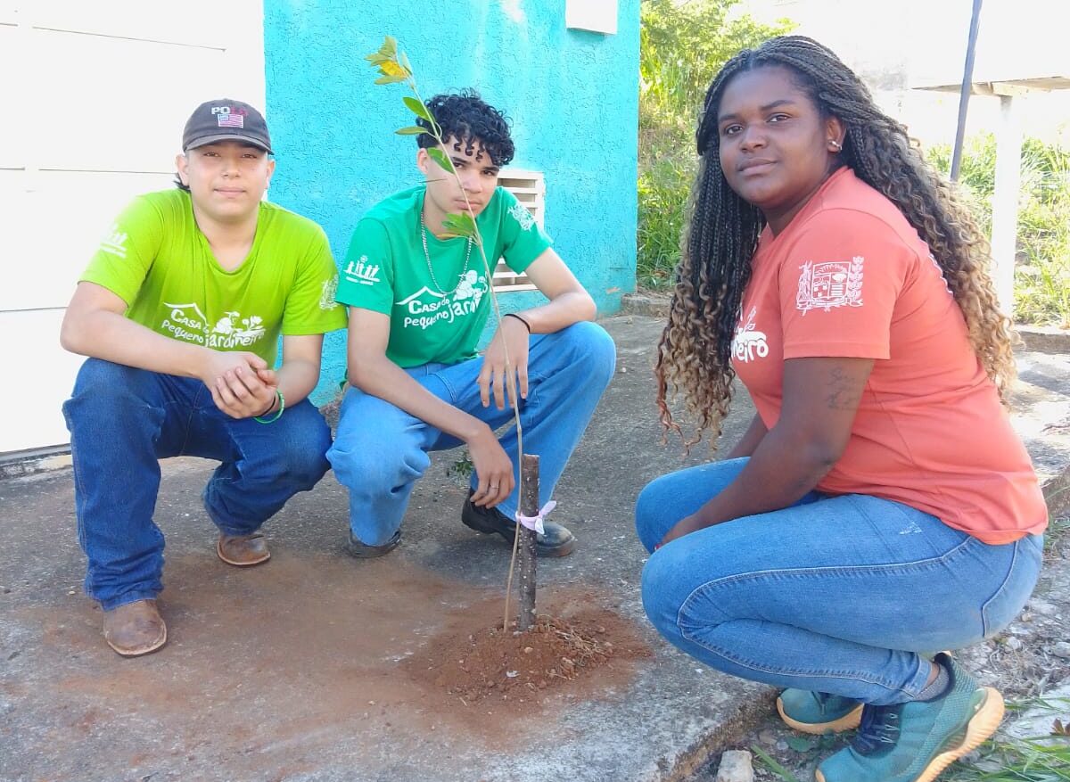 Projeto “Uma Árvore na Minha Calçada” incentiva moradores a deixarem Araxá mais verde e sustentável