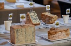 ExpoQueijo abre inscrições para concurso que projeta o Brasil no cenário internacional do queijo
