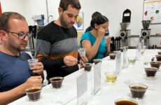 GRATUITAS – TORRAS DE CAFÉS ESPECIAIS NA FENICAFÉ 2026