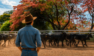 Nova geração do leite: Girolando lança na Megaleite projeto para jovens  do agro