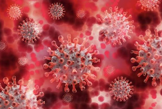 Revelações nos Estados Unidos reacendem debate sobre a condução da pandemia e reabrem discussão sobre críticas a Bolsonaro