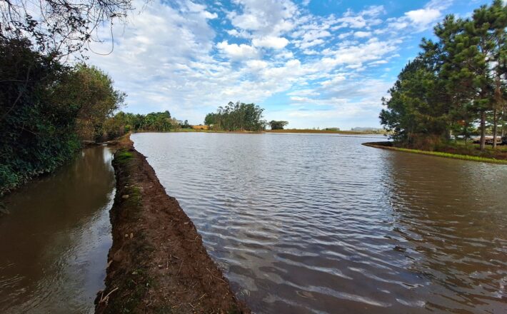 Safra 26/27 de arroz tem expectativa positiva, mas questões climáticas podem afetar produtividade em SC