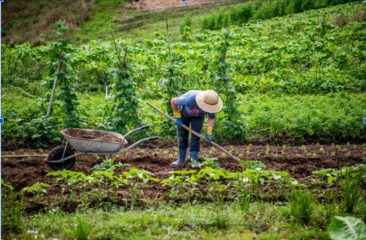 Produtores rurais apostam na conservação da natureza para melhorar a produção e se adaptar às mudanças climáticas