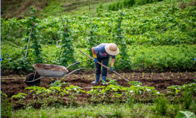 Produtores rurais apostam na conservação da natureza para melhorar a produção e se adaptar às mudanças climáticas
