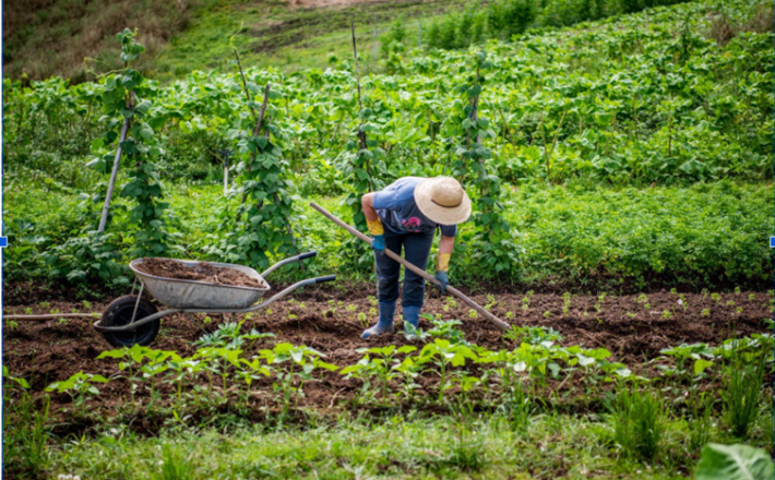 Produtores rurais apostam na conservação da natureza para melhorar a produção e se adaptar às mudanças climáticas