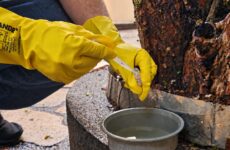 Novo LIRAa aponta média infestação do Aedes aegypti e reforça cuidados preventivos em Araxá