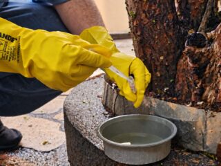 Novo LIRAa aponta média infestação do Aedes aegypti e reforça cuidados preventivos em Araxá