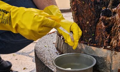 Novo LIRAa aponta média infestação do Aedes aegypti e reforça cuidados preventivos em Araxá